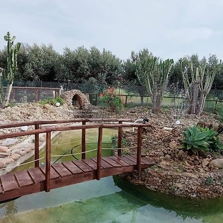Villa Michelangelo Castellammare del Golfo Exteriér fotografie